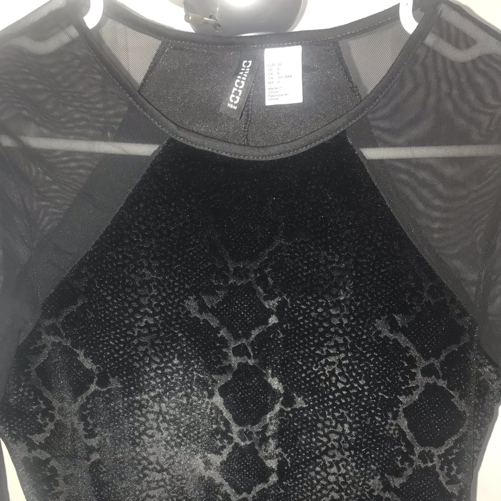 HM Divided Snakeskin Velvet Dress